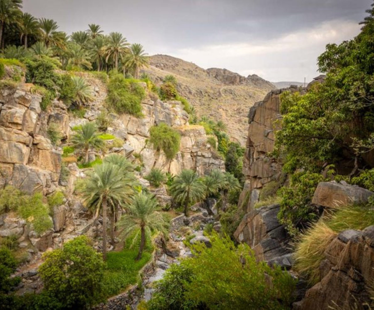 Adventure experience